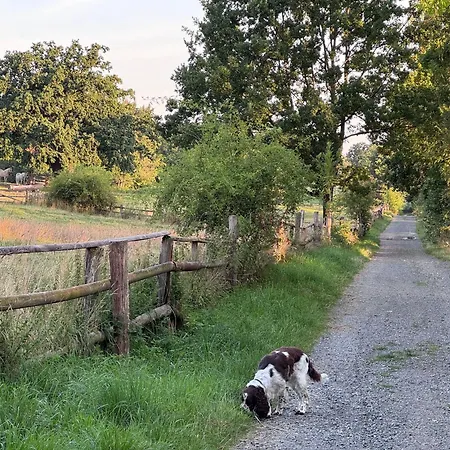 Ferienhaus-urlaubsreich *
