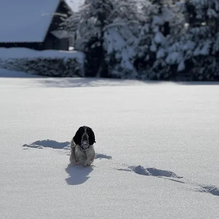 Ferienhaus-urlaubsreich Bad Harzburg