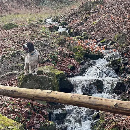 Ferienhaus-urlaubsreich