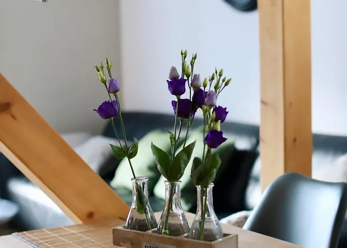 Urlaubsreich Bad Harzburg