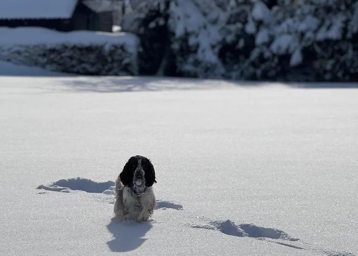 Urlaubsreich Bad Harzburg